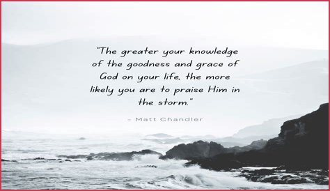 Ricky Powell Net Worth: A Look into the Life and Legacy of an Iconic Photographer