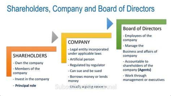 Are board members and shareholders the same?