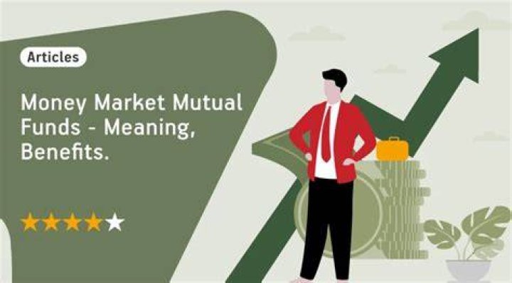Can mutual funds borrow from money market?