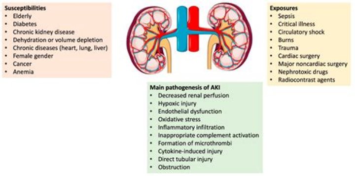Can poor circulation affect kidneys?