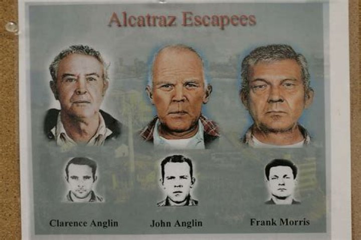 Did the guys who escaped from Alcatraz survive?