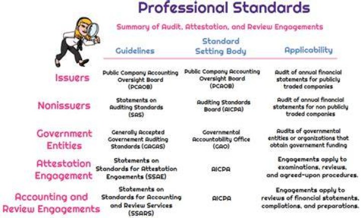How are auditing standards enforced?