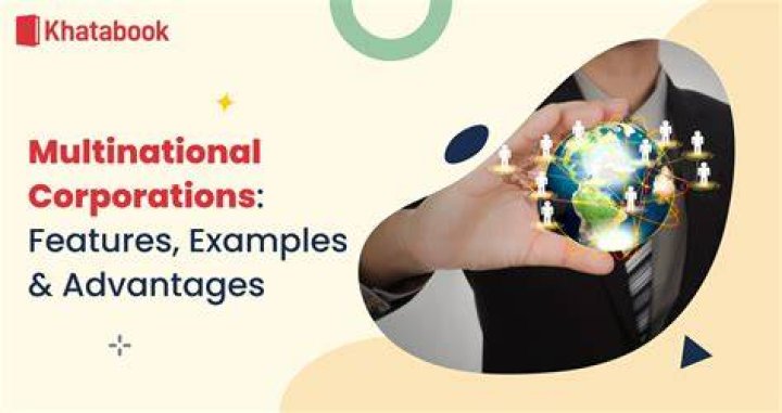 How are multinational companies structured?