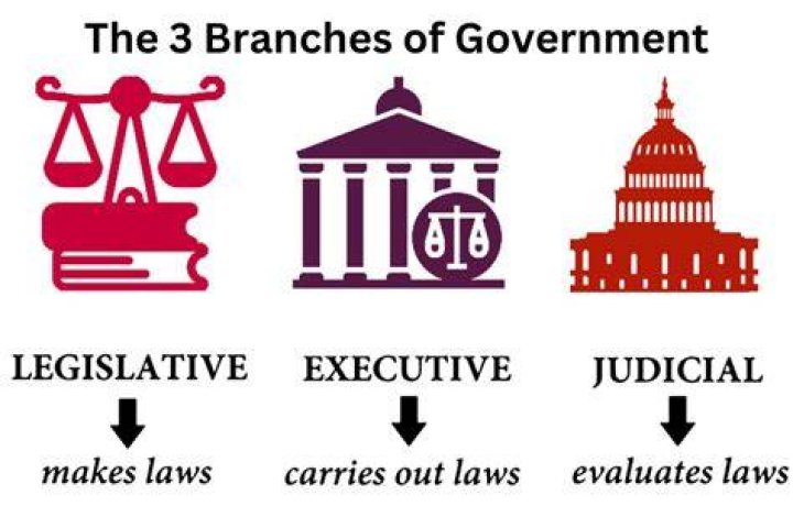How do the 3 branches of government work together?