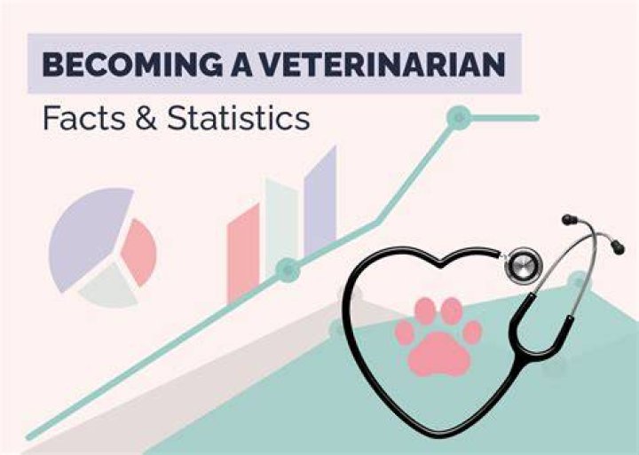 Is there an age limit on becoming a vet?