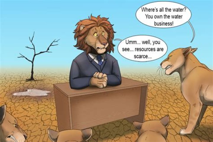 What are five scarce resources?