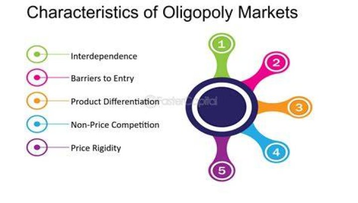 What are the 5 characteristics of an oligopoly?