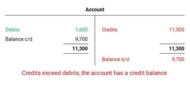 What does a debit balance on a bank statement mean?