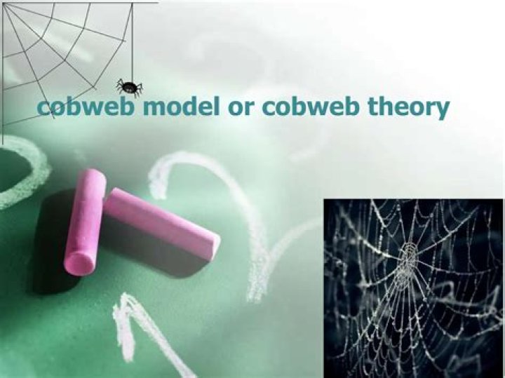 What expectation is the cobweb theory based on?