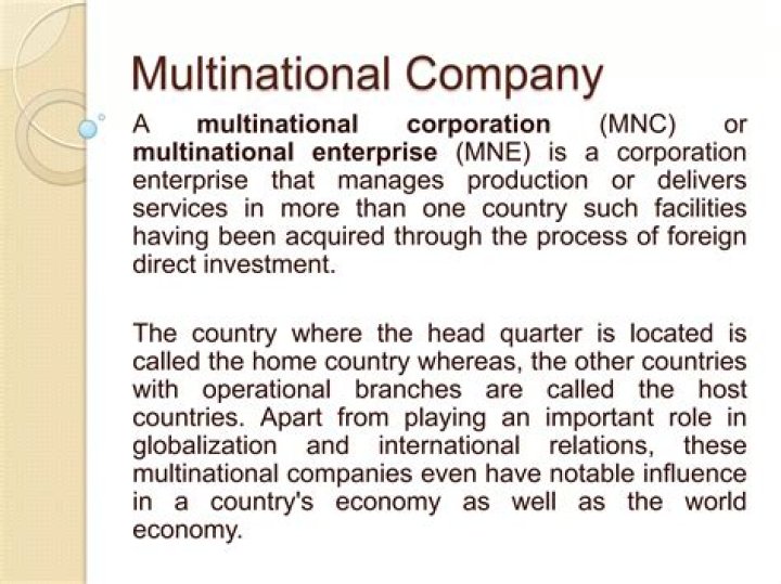 What is a multinational corporation give an example?