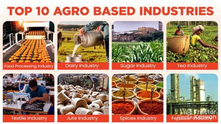 What is agro based industry Short answer?