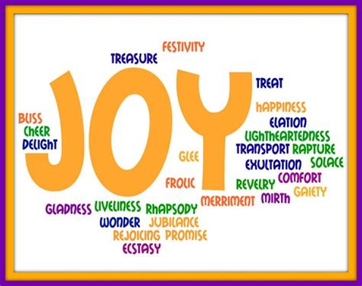 What is another word for great joy?