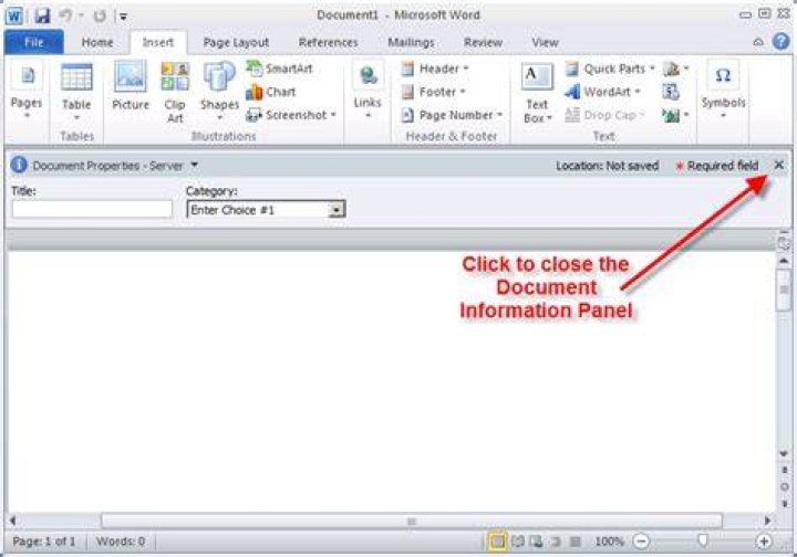 What is document Information Panel?