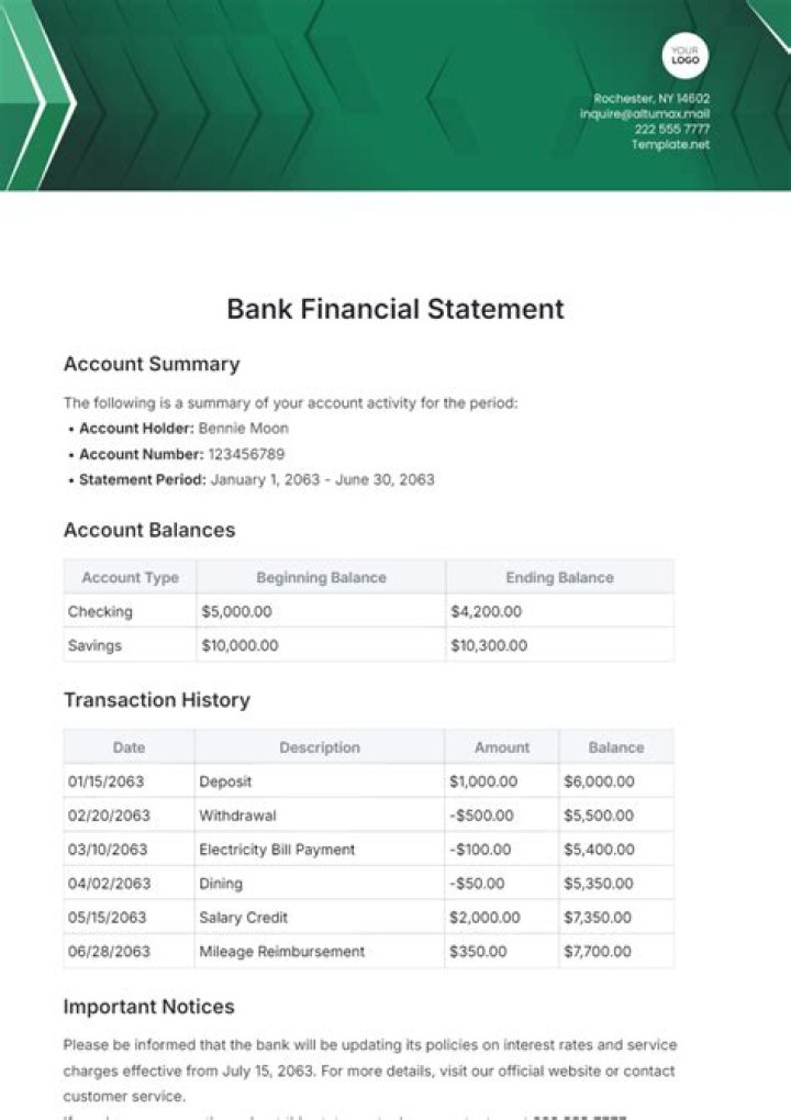 What is payment bank statement?