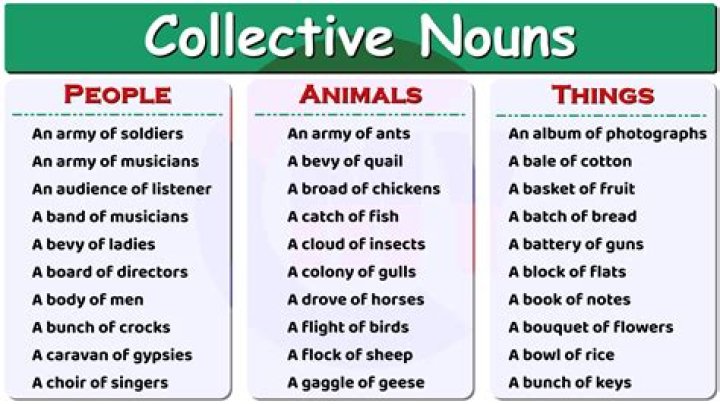 What is the collective noun for notes?