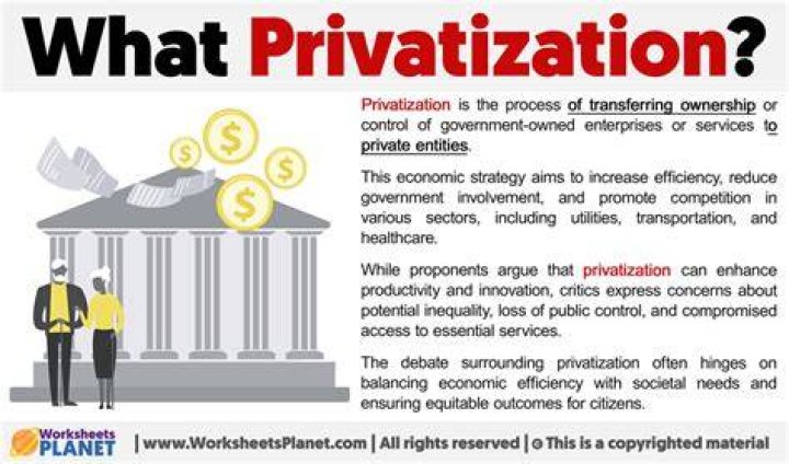 What is the difference between privatisation and privatization?