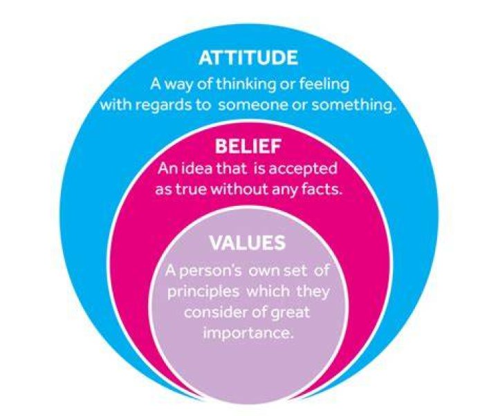 What is the difference between values and attitudes including beliefs?