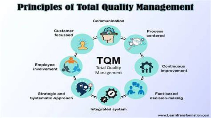 What is TQM needed in small enterprises?