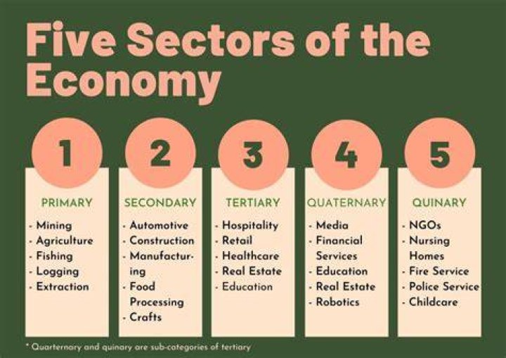 Which sector is best for business?