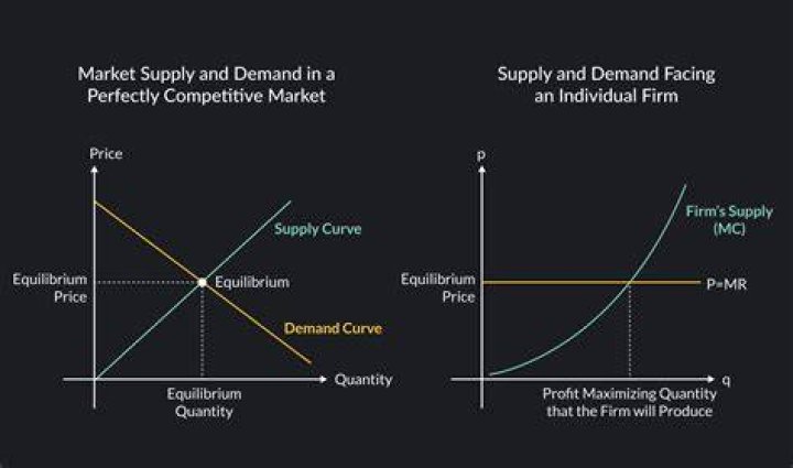 Why is perfect competition unrealistic?